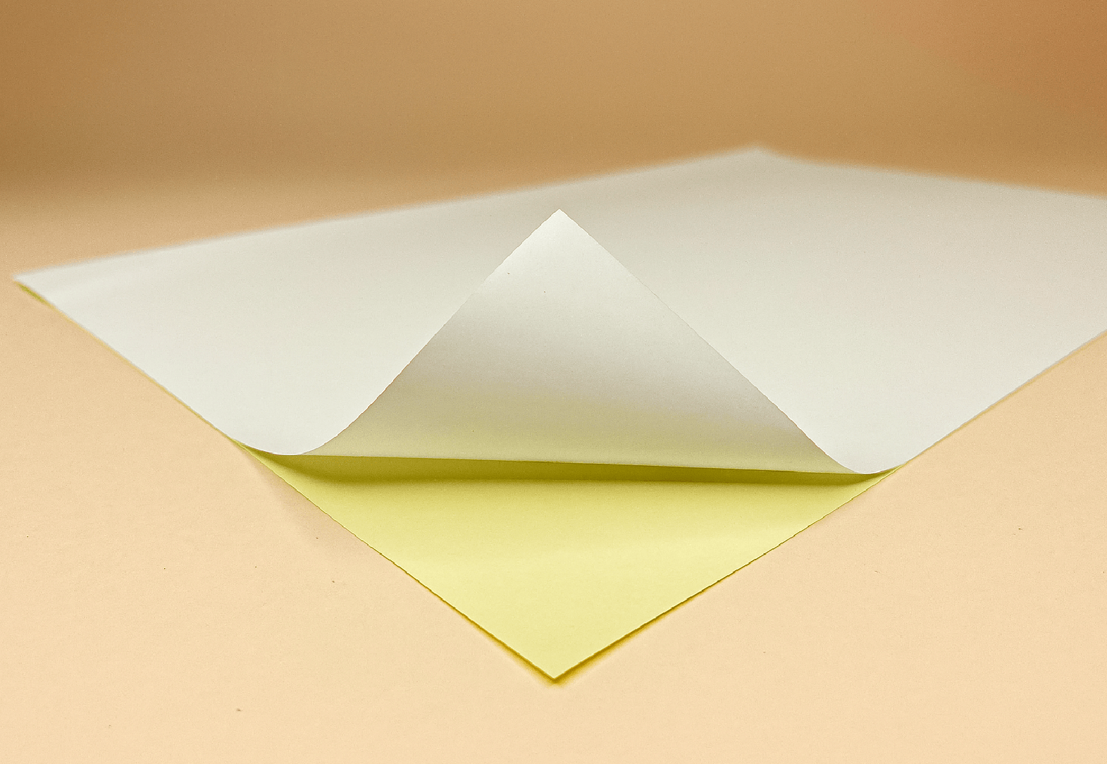 The price starts from 55€ + VAT