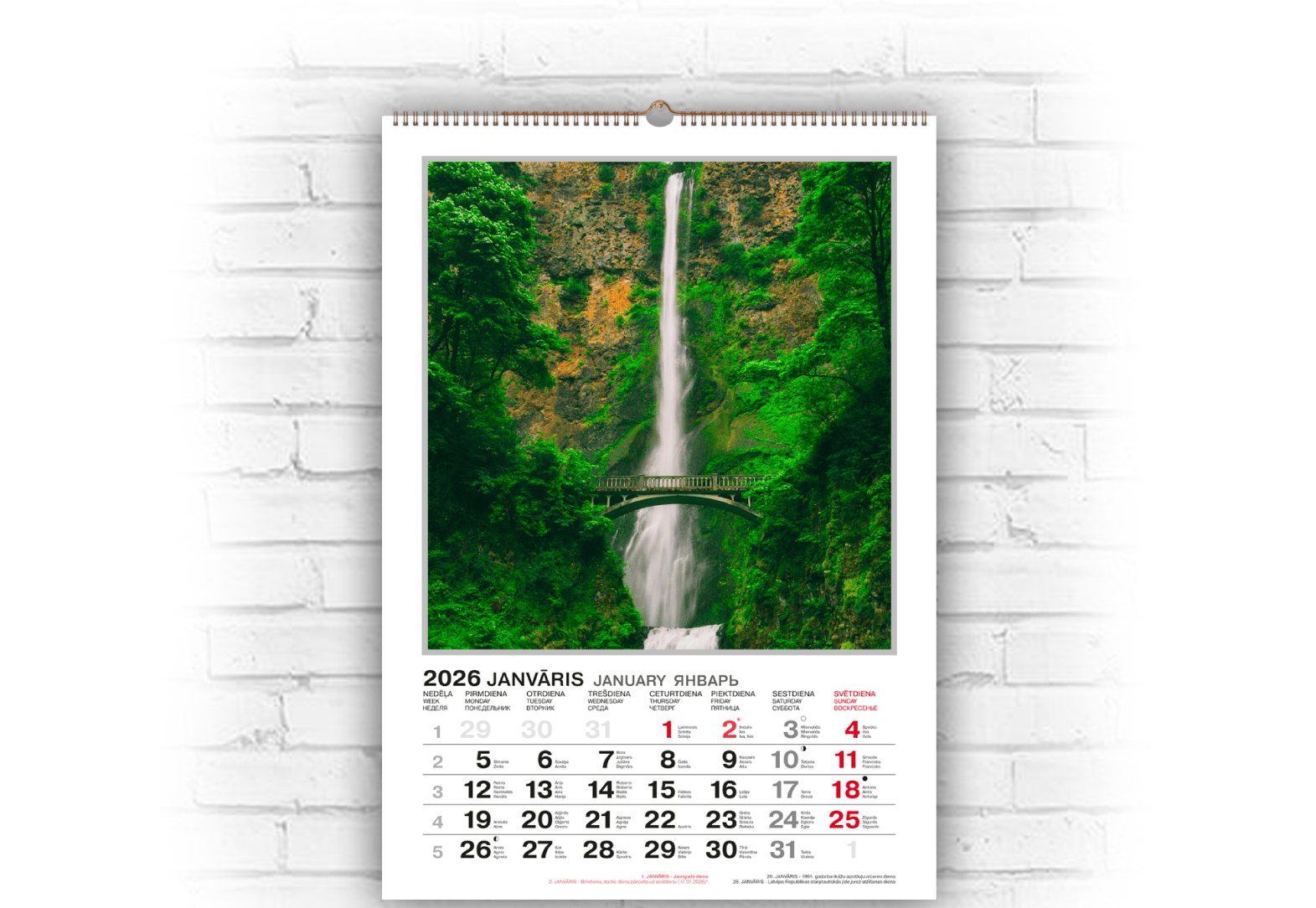 Цена начиная от 33€ + НДС